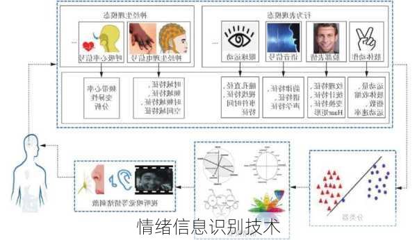 情绪信息识别技术