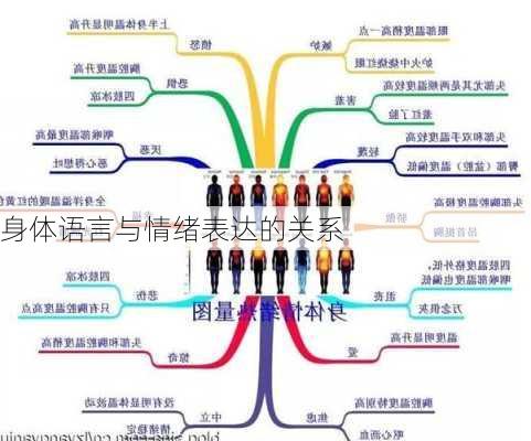 身体语言与情绪表达的关系