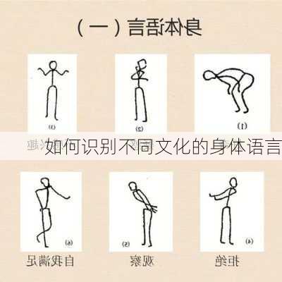 如何识别不同文化的身体语言