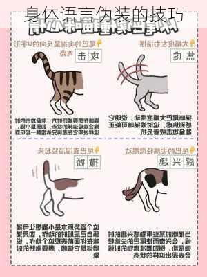 身体语言伪装的技巧
