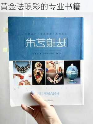 黄金珐琅彩的专业书籍