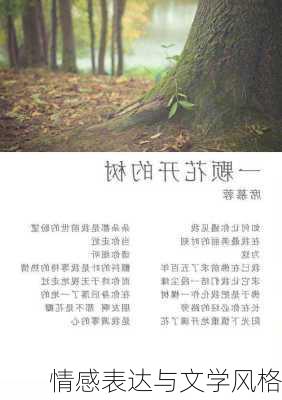 情感表达与文学风格
