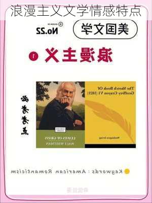 浪漫主义文学情感特点