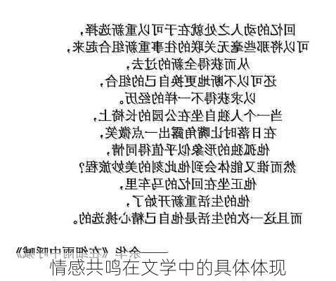 情感共鸣在文学中的具体体现