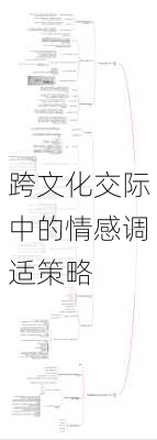 跨文化交际中的情感调适策略