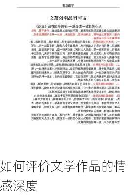 如何评价文学作品的情感深度