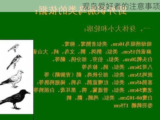 观鸟爱好者的注意事项