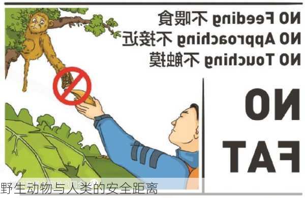 野生动物与人类的安全距离