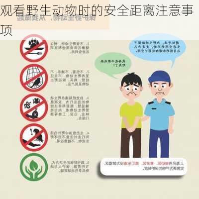 观看野生动物时的安全距离注意事项