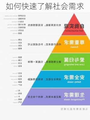如何快速了解社会需求