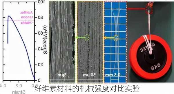 纤维素材料的机械强度对比实验