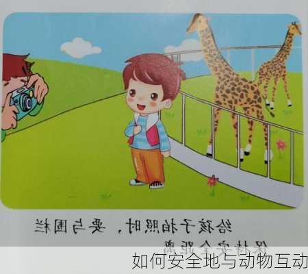 如何安全地与动物互动