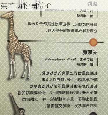 茱莉动物园简介