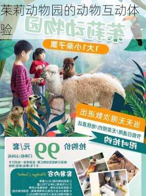 茱莉动物园的动物互动体验