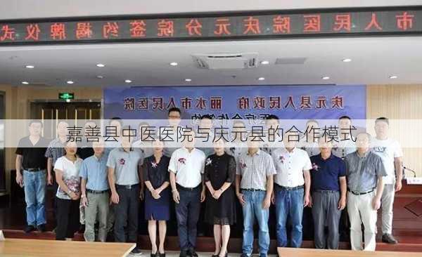 嘉善县中医医院与庆元县的合作模式