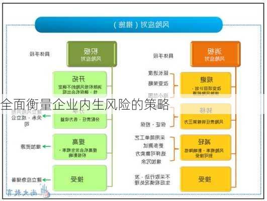 全面衡量企业内生风险的策略