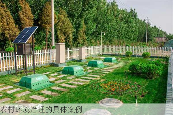 农村环境治理的具体案例