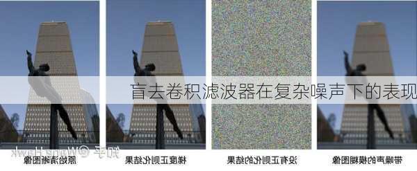盲去卷积滤波器在复杂噪声下的表现