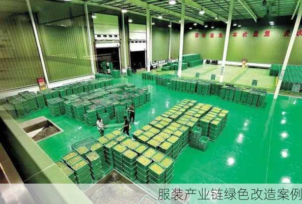 服装产业链绿色改造案例