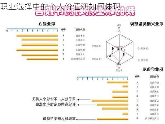 职业选择中的个人价值观如何体现