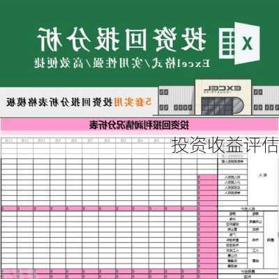 投资收益评估