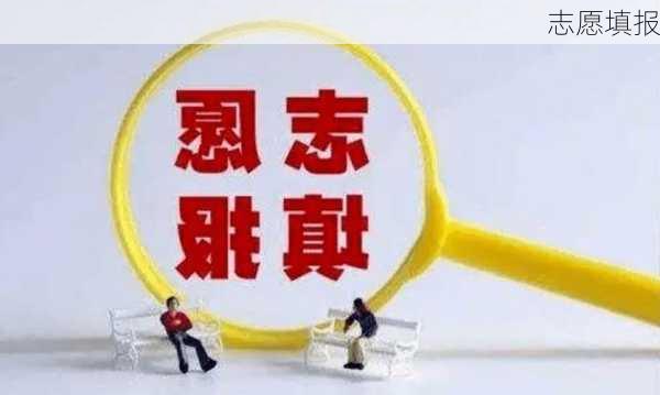 志愿填报