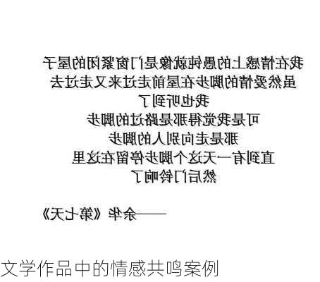 文学作品中的情感共鸣案例