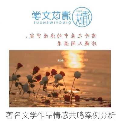 著名文学作品情感共鸣案例分析