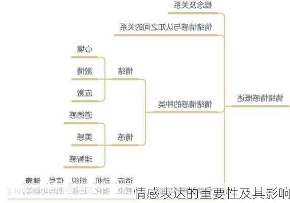 情感表达的重要性及其影响
