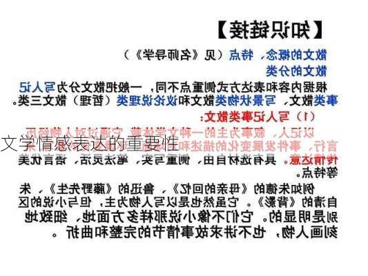 文学情感表达的重要性