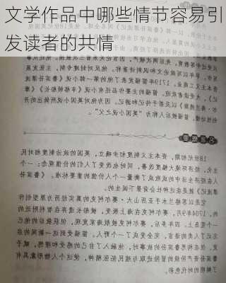 文学作品中哪些情节容易引发读者的共情