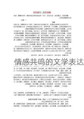 情感共鸣的文学表达