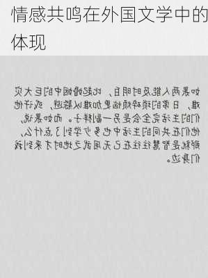 情感共鸣在外国文学中的体现