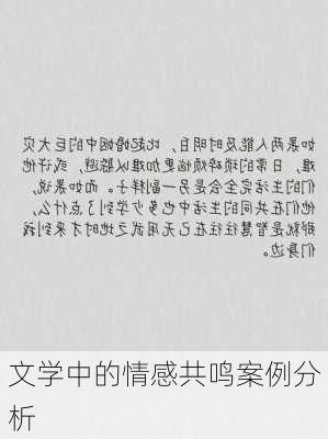 文学中的情感共鸣案例分析