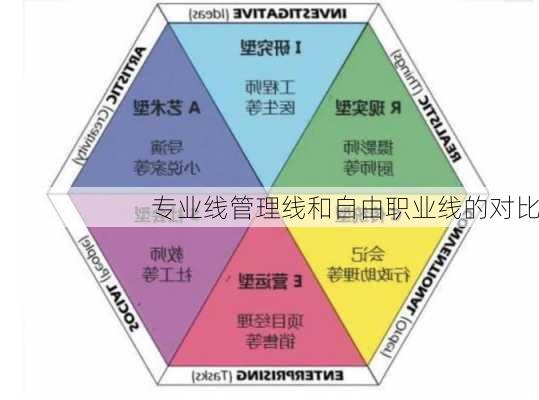 专业线管理线和自由职业线的对比