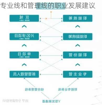 专业线和管理线的职业发展建议