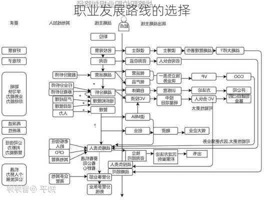 职业发展路线的选择