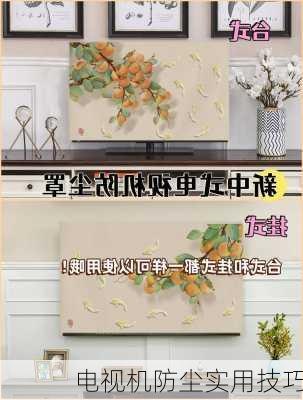 电视机防尘实用技巧