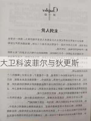 大卫科波菲尔与狄更斯