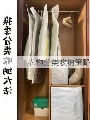 衣物分类收纳策略