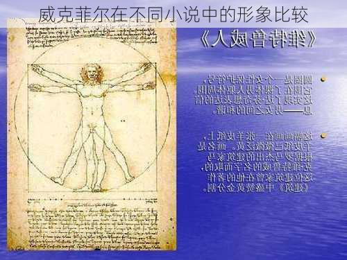 威克菲尔在不同小说中的形象比较
