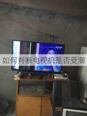 如何判断电视机是否受潮