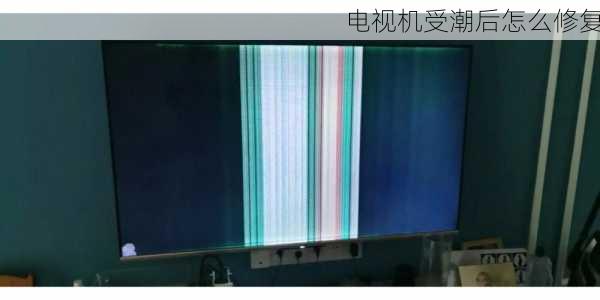电视机受潮后怎么修复