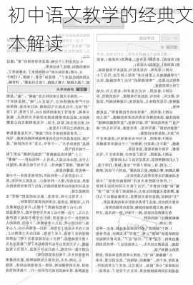 初中语文教学的经典文本解读
