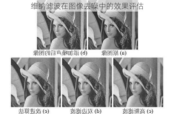 维纳滤波在图像去噪中的效果评估
