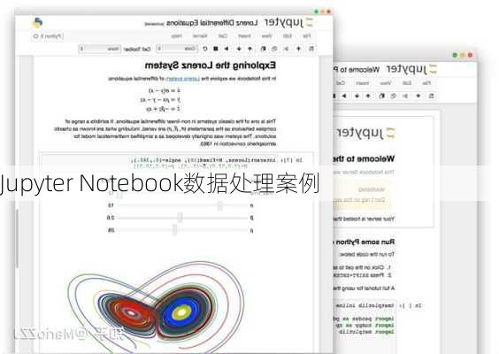 Jupyter Notebook数据处理案例