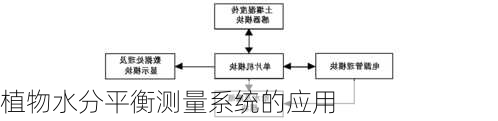 植物水分平衡测量系统的应用