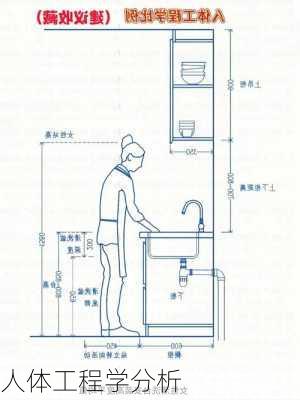 人体工程学分析