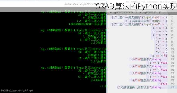 SRAD算法的Python实现