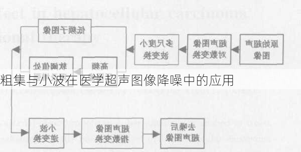 粗集与小波在医学超声图像降噪中的应用